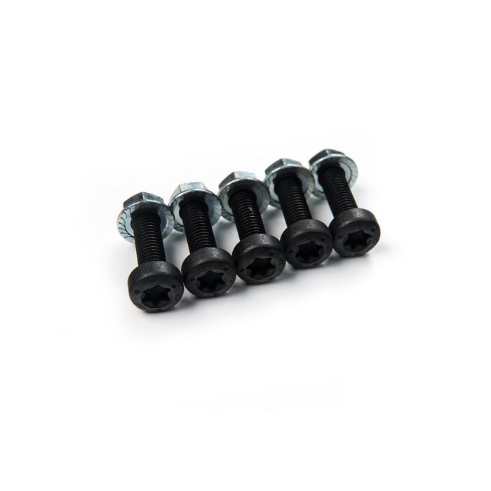 WORK Assembly Bolts TORX M8 thread (Pack of 5)